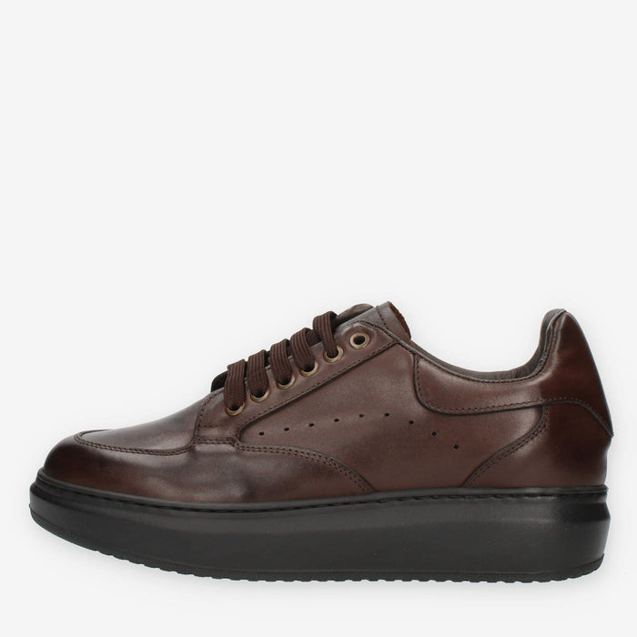 Exton Sneakers da uomo marroni