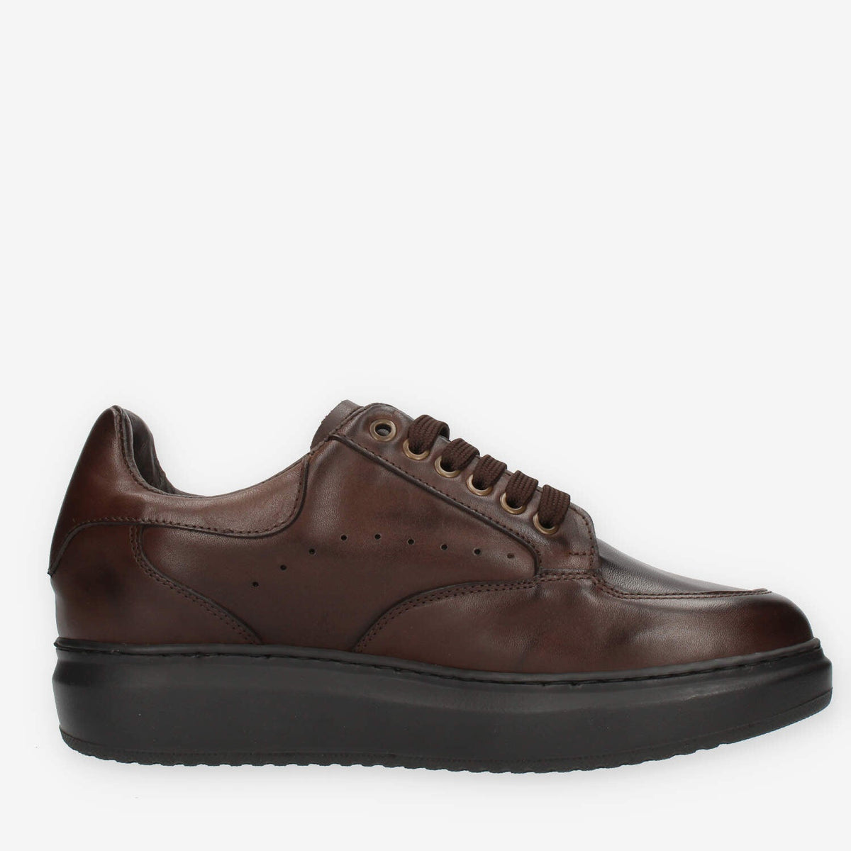 Exton Sneakers da uomo marroni