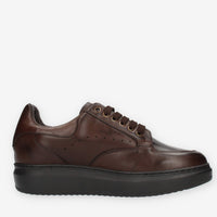 Exton Sneakers da uomo marroni
