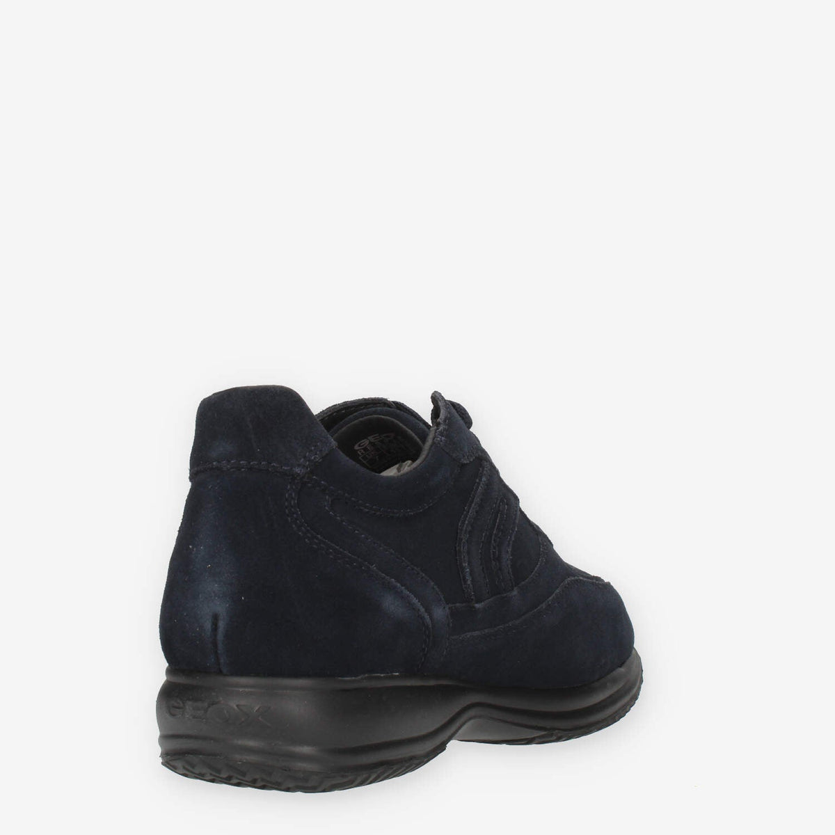 36490053