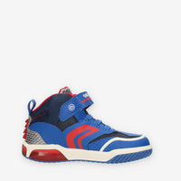 36490095