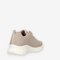 36508667