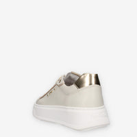 36503551