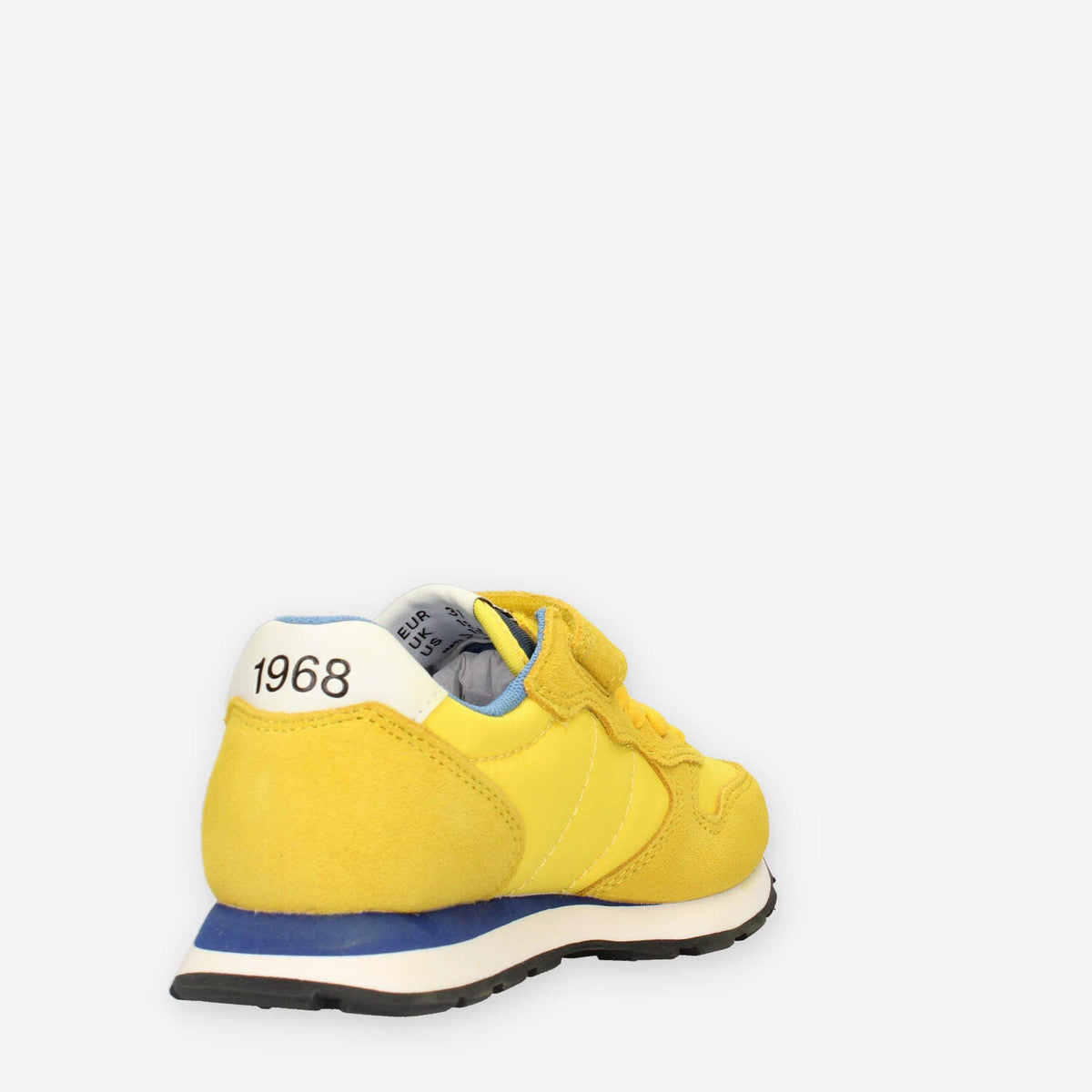 36509450