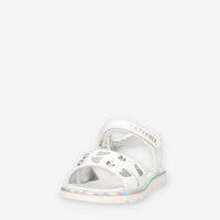 36477611