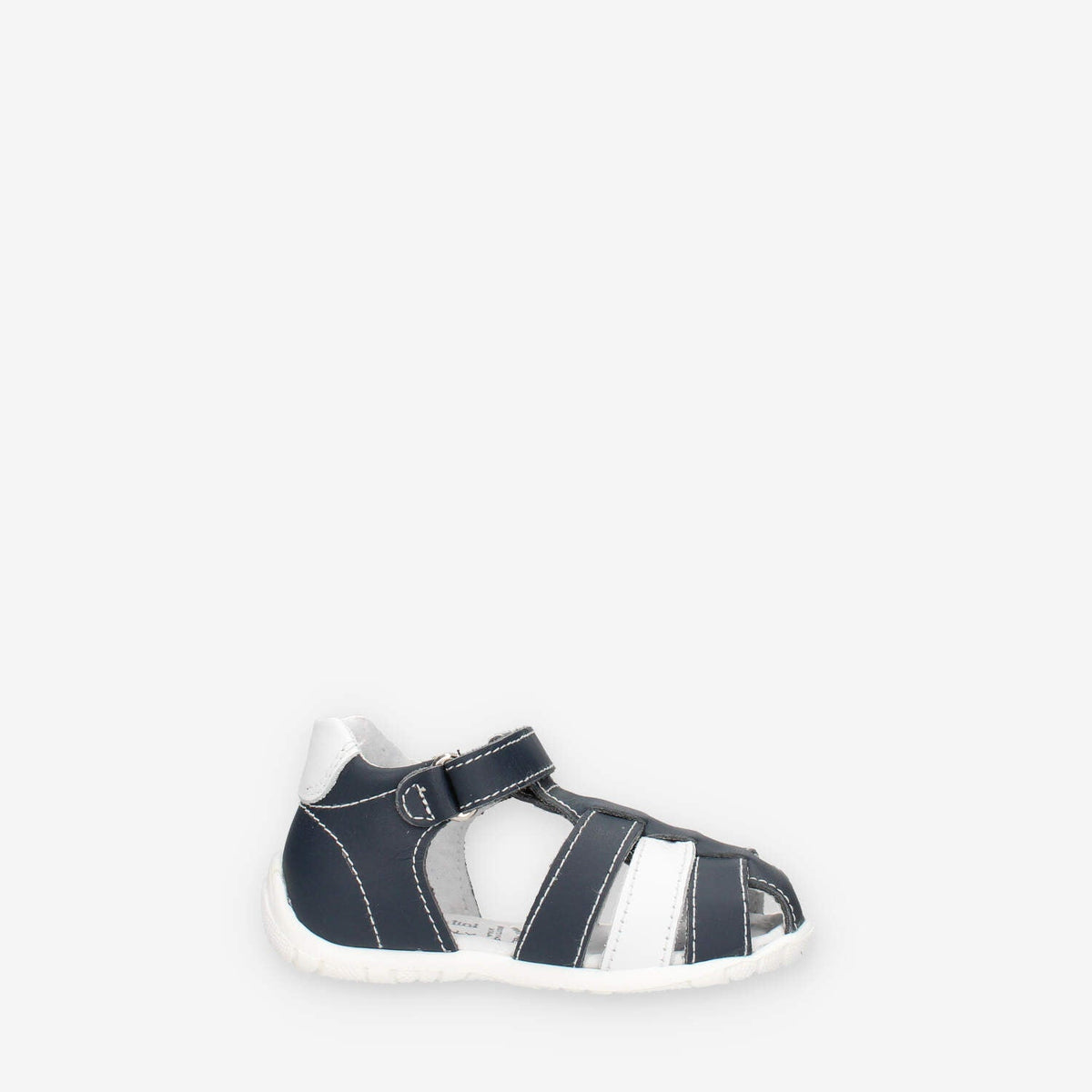 36487220