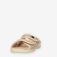 36512456