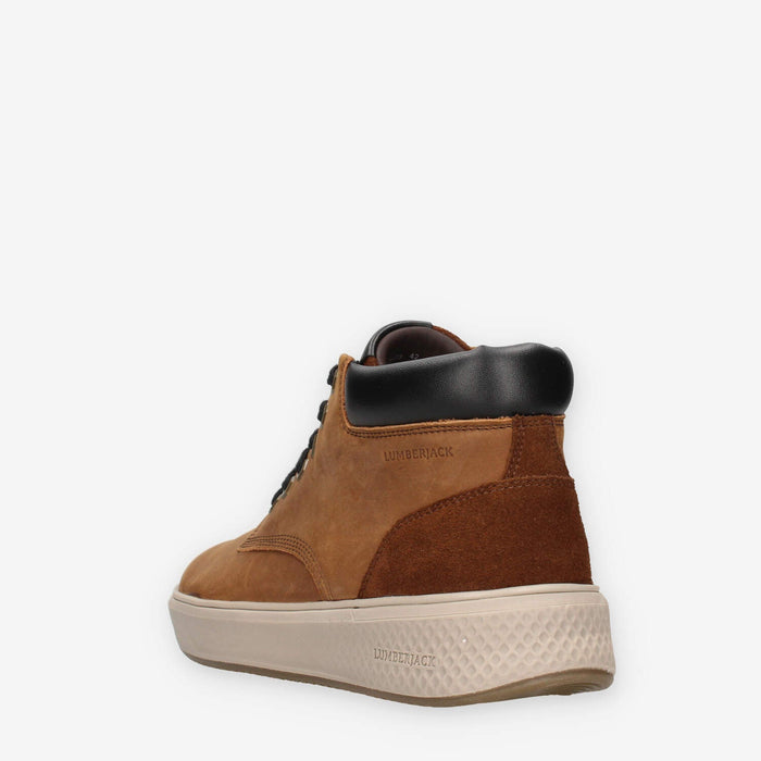 36498445