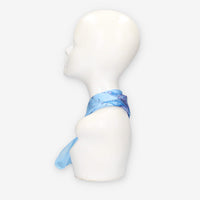 Alviero Martini Prima Classe KS628-1824-0157 SCARF 29X150