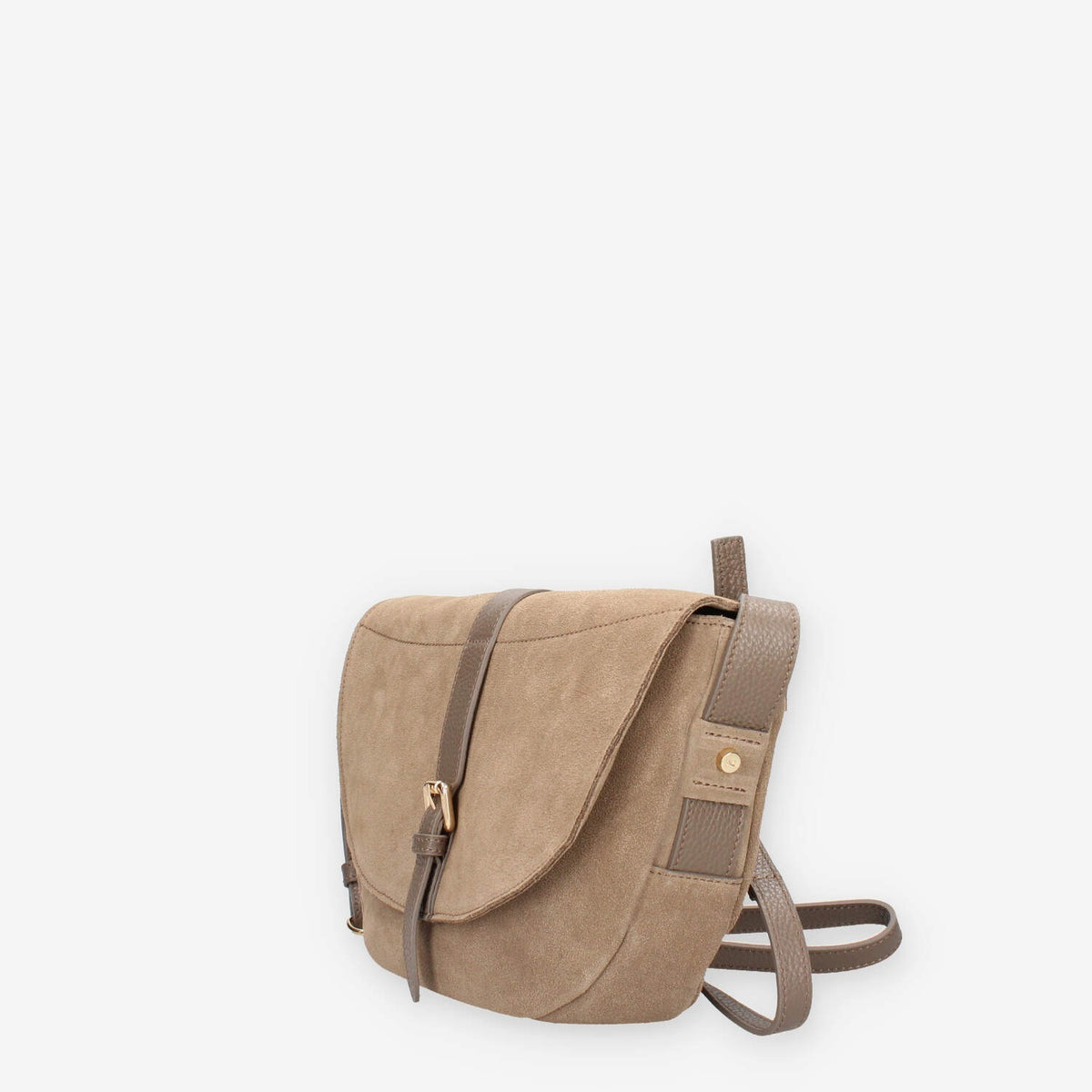 CAMOSCIO CASTORO DOLLARO TAUPE D40