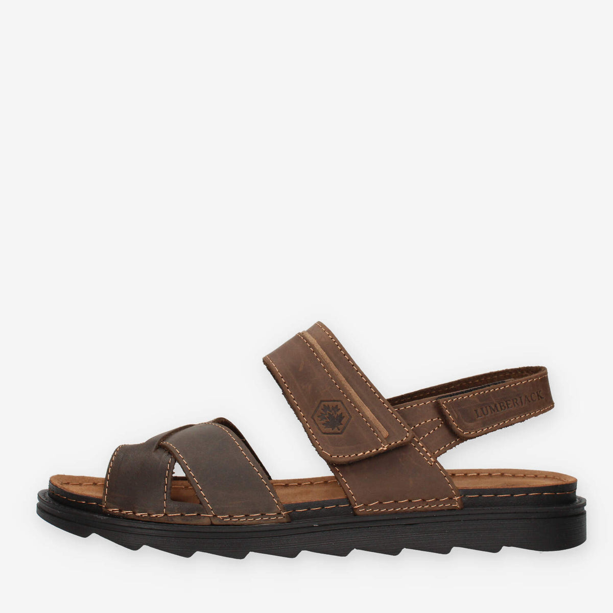 Lumberjack 102268856-D BROWN ASHER