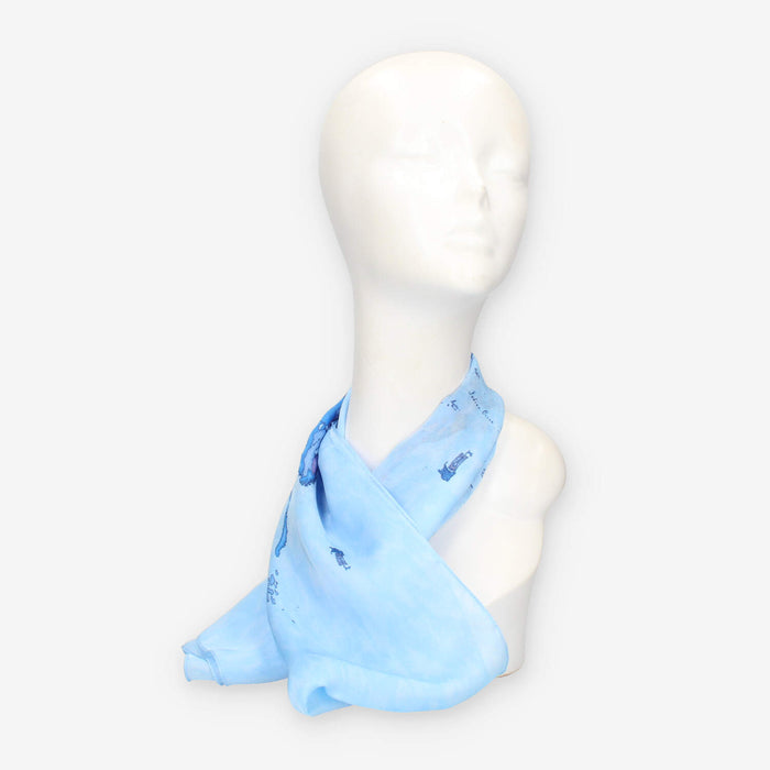 Alviero Martini Prima Classe KS628-1824-0157 SCARF 29X150