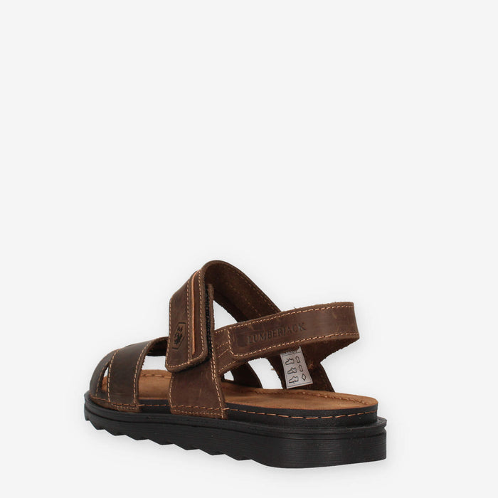 Lumberjack 102268856-D BROWN ASHER