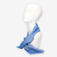 Alviero Martini Prima Classe KS641-1845-0162 SCARF 28X180