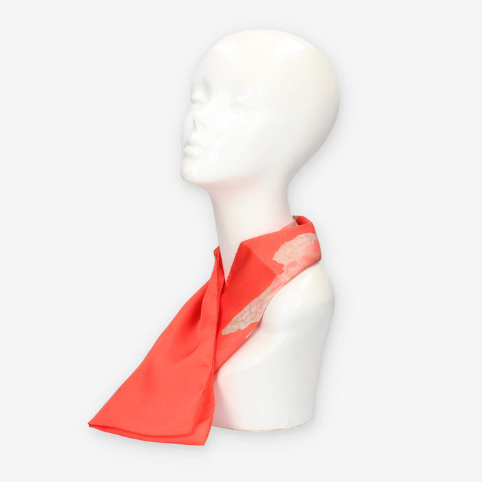 Alviero Martini Prima Classe KS629-1825-0325 SCARF 29X150