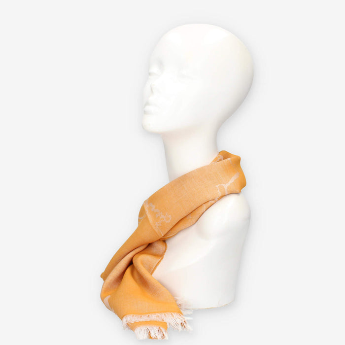 Alviero Martini Prima Classe KS643-1846-0415 SCARF 42X180