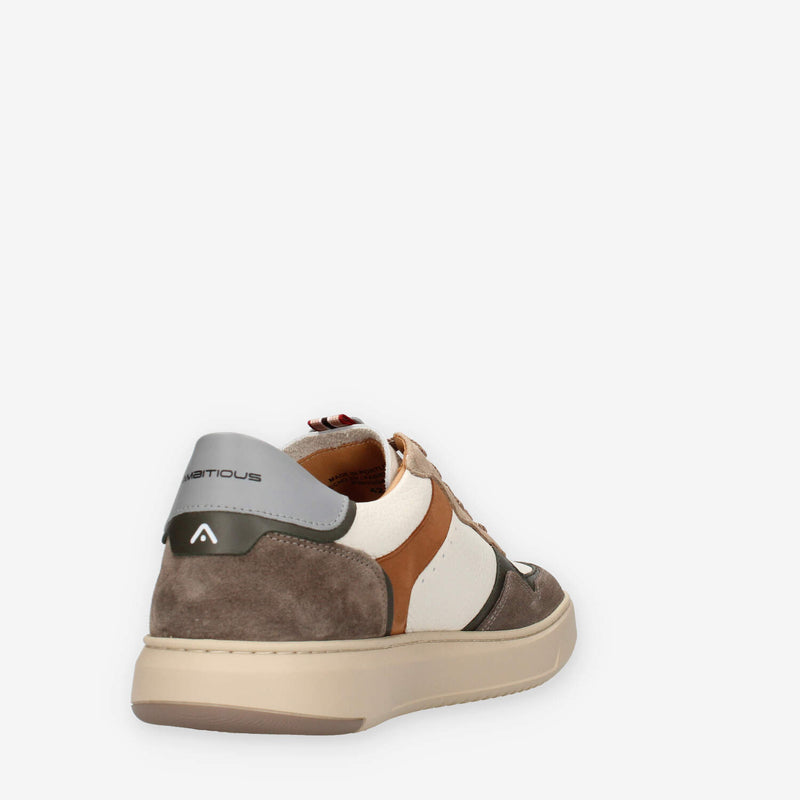 Ambitious 14095-1580AM-TAUPE Sneakers taupe da uomo