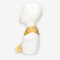 Alviero Martini Prima Classe KS628-1824-0430 SCARF 29X150