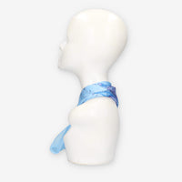 Alviero Martini Prima Classe KS628-1824-0157 SCARF 29X150