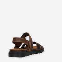 Lumberjack 102268856-D BROWN ASHER