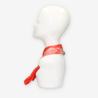 Alviero Martini Prima Classe KS629-1825-0325 SCARF 29X150