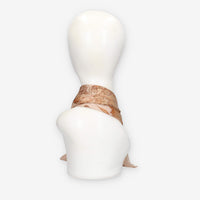 Alviero Martini Prima Classe KS629-1825-0387 SCARF 29X150