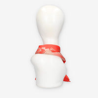 Alviero Martini Prima Classe KS629-1825-0325 SCARF 29X150