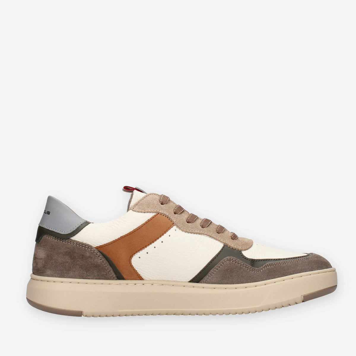 Ambitious 14095-1580AM-TAUPE Sneakers taupe da uomo