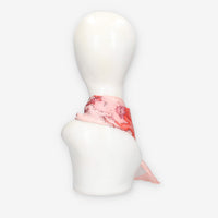 Alviero Martini Prima Classe KS628-1824-0341 SCARF 29X150