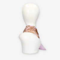 Alviero Martini Prima Classe KS629-1825-0263 SCARF 29X150