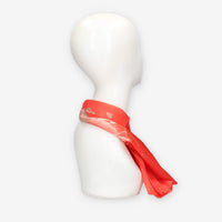 Alviero Martini Prima Classe KS629-1825-0325 SCARF 29X150