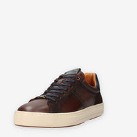 13605-7129AM-BROWN Ambitious Sneakers brown da uomo