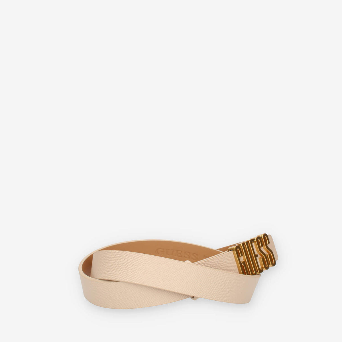 36491204